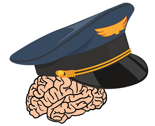 a pilot's brain